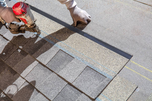 Best Roof Maintenance Services  in Morton, IL